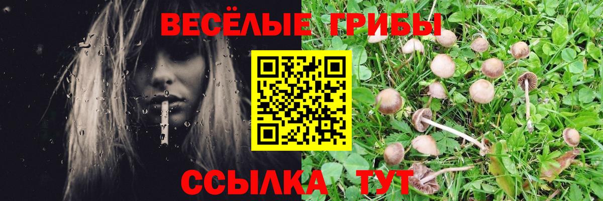 Галлюциногенные грибы GOLDEN TEACHER  где можно купить   Арсеньев  Вход с VPN 